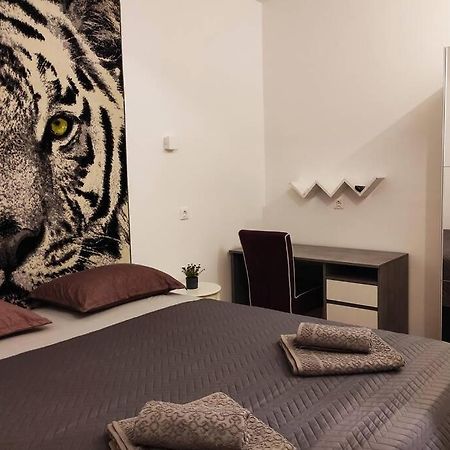 ספליט Spacious Apartment Near City Center And The Beach מראה חיצוני תמונה