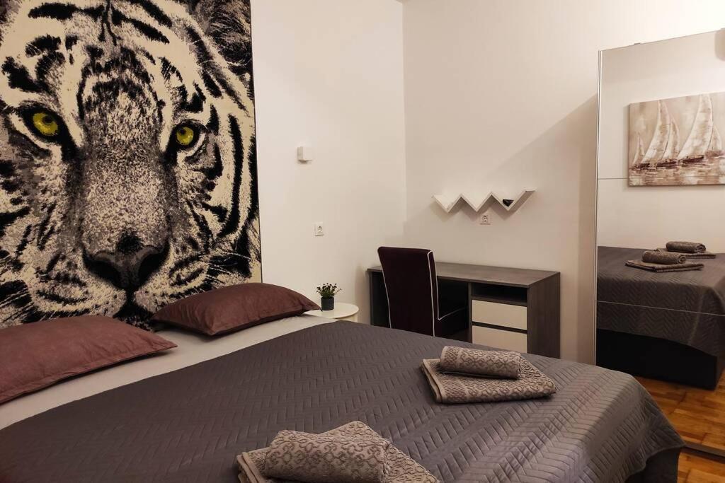 ספליט Spacious Apartment Near City Center And The Beach מראה חיצוני תמונה