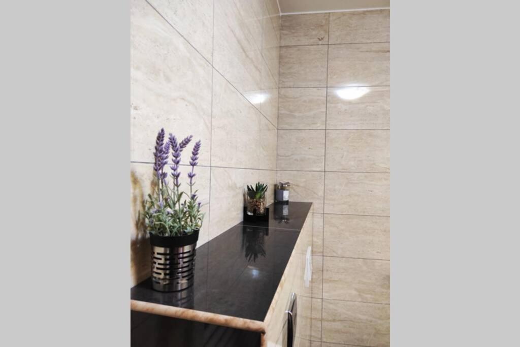 ספליט Spacious Apartment Near City Center And The Beach מראה חיצוני תמונה