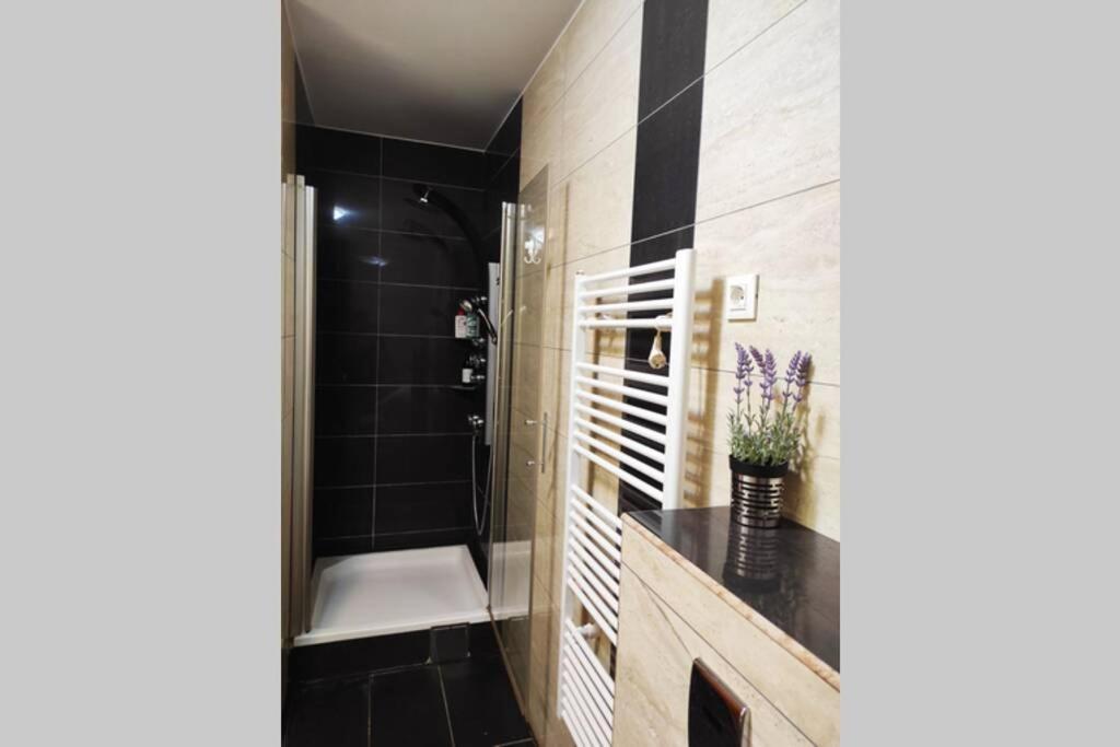 ספליט Spacious Apartment Near City Center And The Beach מראה חיצוני תמונה
